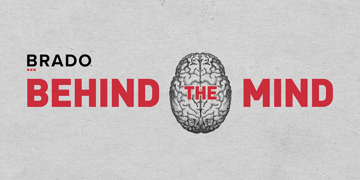 Behind the Mind brain illustrated